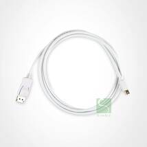 Mini Displayport から Displayport へ 変換用ケーブル (1426)_画像1