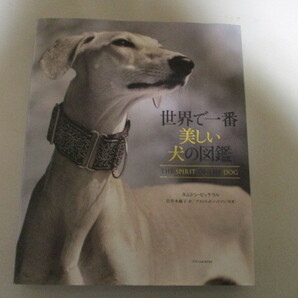 (お得！送料無料) MF085/ 世界で一番美しい犬の図鑑 (定価4180円) 80種を超える犬種それぞれの歴史に隠された物語を美しい写真とともに紹介
