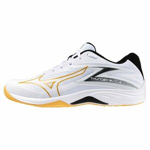 1606269-MIZUNO/ Thunder blade Z volleyball shoes men's lady's /24.5