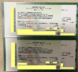  обычная цена быстрое решение 6/25( огонь ) Hanshin - средний день ( Kurashiki * мускат Stadium )A внутри . указание сиденье B Zone 1. сторона 2 листов полосный номер 