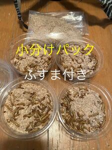  Mill wa-m normal size 1~2cm800 pcs * extra 100 pcs * small amount .4 pack * bait. fusuma 50g another .