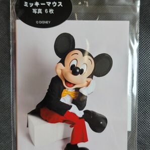 ディズニー ミッキー 実写 写真 6枚 新品