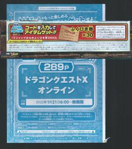  ＶＪ2022年 ３月号　ふくびき券×30　　ドラゴンクエストXオンライン　付録袋とじ内の印刷アイテムコード