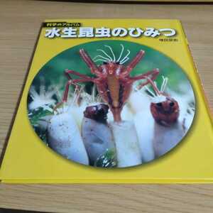 水生昆虫のひみつ 新装版 科学のアルバム虫 19　中古本