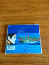 EU盤 廃盤 ブライアン・ウィルソン イマジネーション Brian Wilson Imagination ビーチ・ボーイズ_画像3