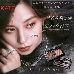 【限定色】KATEエレクトリックショックアイズ・EX-1ブルーミングシャワー・新品未開封・ケイト・アイシャドウ