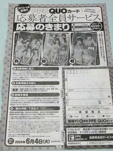 「PPE」別冊ヤングチャンピン 6月号 QUOカード応募者全員サービス応募用紙のみ発送 1枚