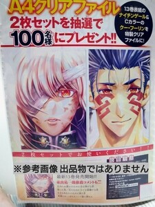 「Fate/Grand Order -turas realta-」 (フェイト グランドオーダー) A4クリアファイル 2枚 別冊少年マガジン 当選品 抽プレ非売品 「GB」