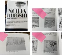 【真作】野田弘志 朝日新聞連載小説「湿原」原画 「真理のリアリズム」巡回展展示作品_画像9