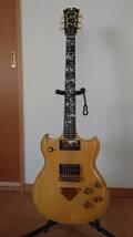 Ibanez 2681 Bob weir_画像1