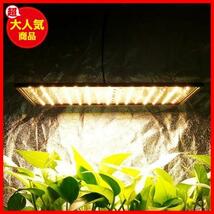 ★1PCS★ GREENSINDOOR 植物育成ライト LED 400W 植物成長ライト 植物用ledライト 育成ライト 陽光のように 高輝度 フルスペクトル 室内_画像9