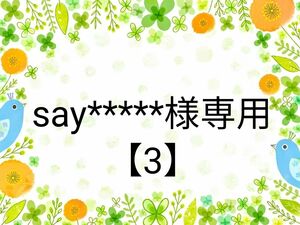 say*****様専用　10,⑫