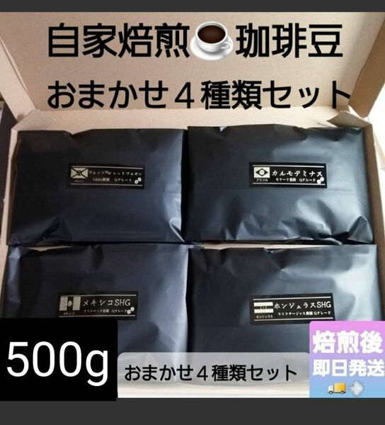 ①自家焙煎屋　珈琲豆　coffee　おまかせ２種類〜4種類セット　500g