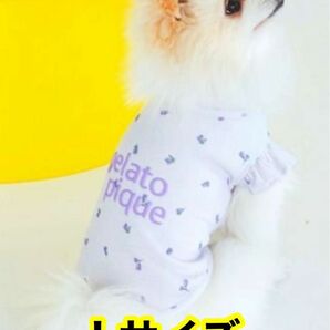 【Lサイズ ラベンダー】ジェラートピケ 小花柄COOLプルオーバー 犬服 ワンコ