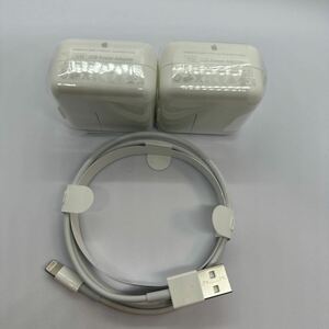 USB Power Adapter 10W 充電器 iPad付属品　ライトニングケーブル 付き Apple