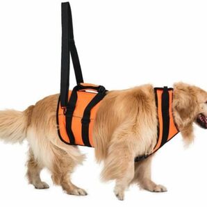 【新品】Wintchuk老犬 介護用品 犬 歩行補助 (S,オレンジ)