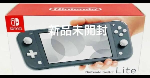 Nintendo Switch Lite 本体 グレー 2024年5月購入 ニンテンドースイッチライト