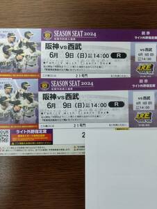  Hanshin Tigers ticket 