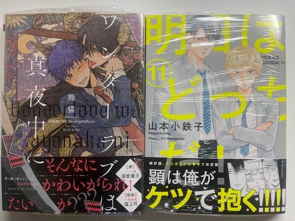 明日はどっちだ！ 11 山本小鉄子 ワンダーラブは迷ってに 熊猫 