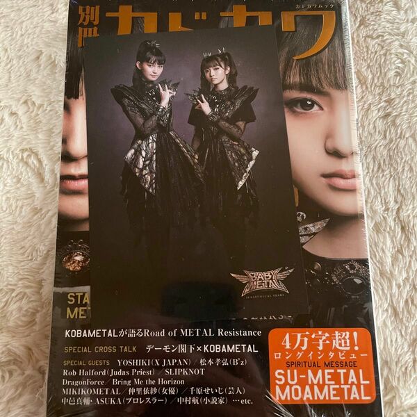 別冊 カドカワ BABYMETAL STAY METAL