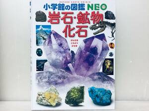 小学館の図鑑NEO 岩石・鉱物・化石