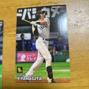 福岡ソフトバンクホークスカルビー野球チップスカード57枚セット