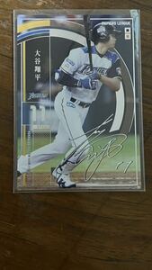  large . sho flat Owners League silver . autographed OL22 023/120