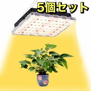 5個セット　植物育成ライト　植物栽培ライト　LED　育苗　観葉植物 家庭菜園