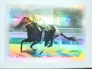 【超断捨離中】メジロラモーヌ TheVictory2000 Glory ザ・ビクトリー 競馬カード グローリー ウマ娘 150枚限定 ザヴィクトリー