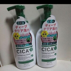 CICA シカ 酵素配合 泡洗顔料 450ml 日本製 プラチナレーベル シカ 洗顔料 パパイン酵素 毛穴 黒ずみ 