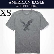 新品タグ付き☆American Eagle半袖ＴシャツXS グレー アメリカンイーグル_画像1