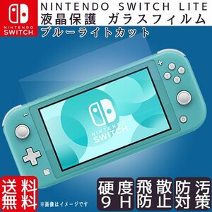 送料無料 ニンテンドースイッチ ライト 液晶保護フィルム (222)/ 硬度 9H 強化ガラス ブルーライトカット Nintendo switch Lite 2.5D 互換