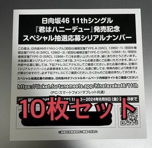 【即日対応】日向坂46 11thシングル 君はハニーデュー 発売記念 スペシャルプレゼント 抽選応募 シリアルナンバー 10枚セット 券