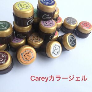 ☆Careyカラージェル☆ ジェルネイル