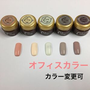 Careyカラージェル オフィスカラー② ジェルネイル まとめ売り セット