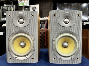 Bowers & Wilkins