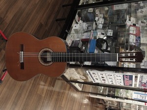 期間限定セール タカミネ Takamine クラシックギター NO.6