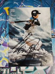  Hokkaido Nippon-Ham Fighters large . sho flat autograph autograph card ( at that time place . team )