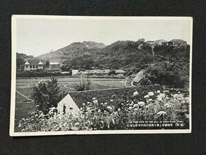 ｍ※※　戦前絵葉書　蕪湖　翠樹鬱蒼と繁る蕪湖公園の丘陵を望む　風景　軍事郵便　/I25⑩