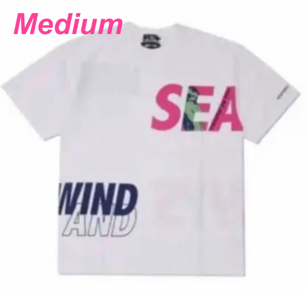 HYSTERIC GLAMOUR × WIND AND SEA コラボTシャツ