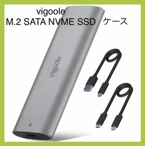 vigoole M.2 SSD ケースSATA NVME 両対応 Type-C