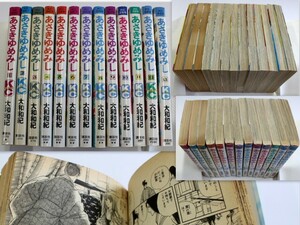 722/古本/大和和紀 あさきゆめみし 全13巻完結　源氏物語　※1巻.2巻.3巻は日焼けが強いです。12.13巻きは第1刷！