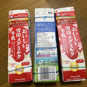 牛乳パック　空きパック　15本　工作　詐欺などに