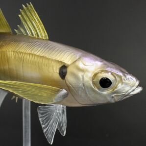 アジ フィギュア　魚　模型　ハンドメイ ド　レプリカ　メバリング　アジング 