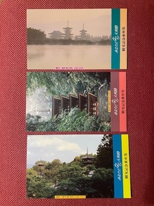 近畿鉄道　あなたとなら大和路　観光記念乗車券　(管理番号30-13)