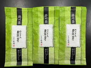 掛川深蒸し茶　玉翠二号１００g×３袋