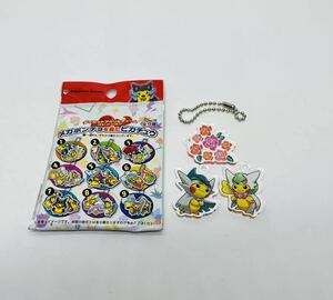 ダイカットアクリルチャームコレクション　メガポンチョを着たピカチュウ　メガエルレイド　メガサーナイト