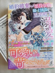 婚約破棄された悪役令嬢は、騎士団長の王弟殿下に溺愛されすぎです! クールな逆襲で元婚約者を断罪しちゃいました(水島 忍 / 池上紗京)