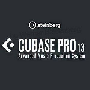 Cubase 13 Pro v13.0.30【Win】かんたんインストールガイド付属 永久版 無期限使用可