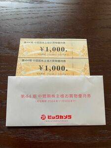 ビックカメラ　株主優待　1,000円　2枚